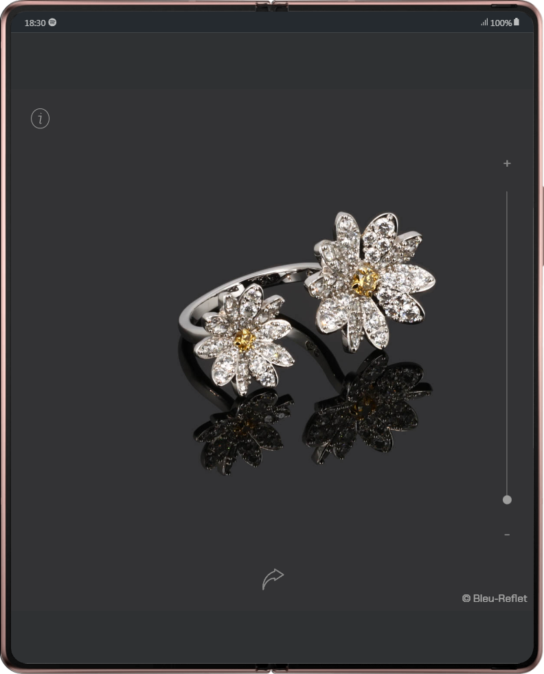 Eternel Flowers